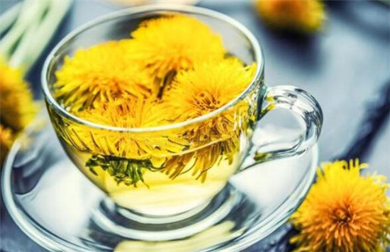 蒲公英茶可以减肥吗,蒲公英茶和什么一起喝减肥