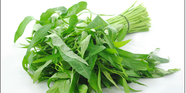 柳叶空心菜好还是大叶空心菜好,柳