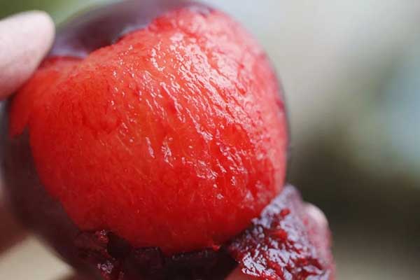 红布林多少一斤，黑布林贵还是红布