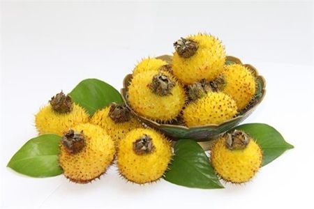 刺梨干多少钱一斤,干刺梨的保质期多长