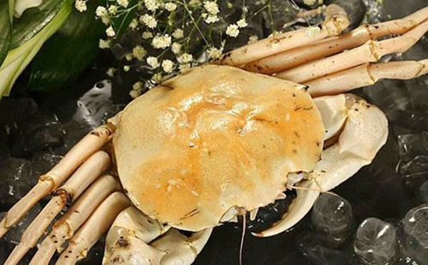 假帝王蟹叫什么名,长得像帝王蟹的小螃蟹