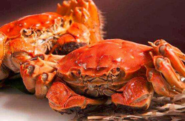 活帝王蟹怎么能养几天,帝王蟹红的和蓝哪个贵