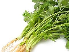 香菜怎么保存新鲜不烂,冬瓜木耳香菜汤可以减肥吗