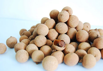 龙眼图片,龙眼树的图片,龙眼也叫桂圆图片