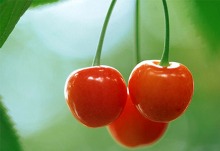 上班族必备水果樱桃,缓解上网不适症状