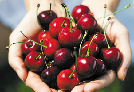 樱桃的种植方法,樱桃的品种有哪些