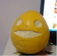 柚子龙猫怎么做,可爱的柚子龙猫做法(图文)