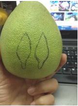 柚子龙猫怎么做,可爱的柚子龙猫做法(图文)