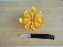 荷花水果拼盘图片,荷花水果拼盘的做法