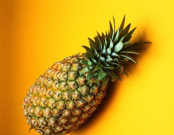 菠萝图片,菠萝树图片,凤梨和菠萝的区别