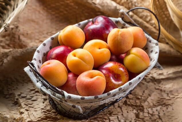 杏子的功效与作用 杏子吃多了会怎么样