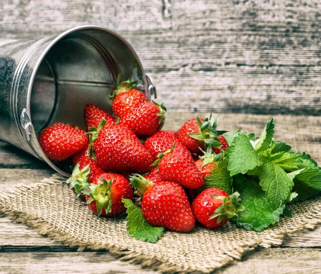 草莓图片,草莓开花图片,野草莓图片