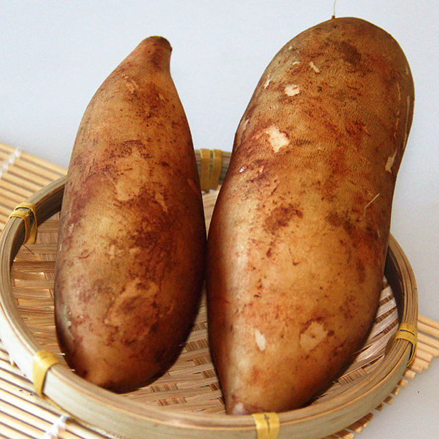 农家雪莲果图片大全,云南特产雪莲果