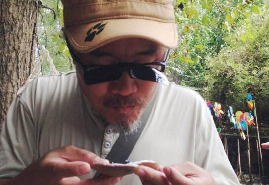 野香蕉可以吃吗,野香蕉是皇家贡品可以吃