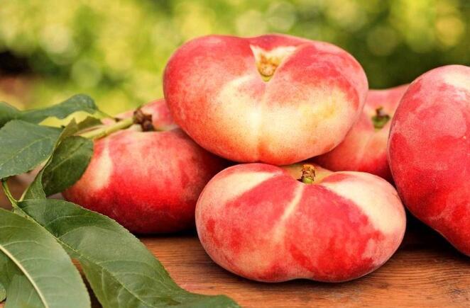 蟠桃什么时候成熟,蟠桃三千年一开花(8-9月份成熟)