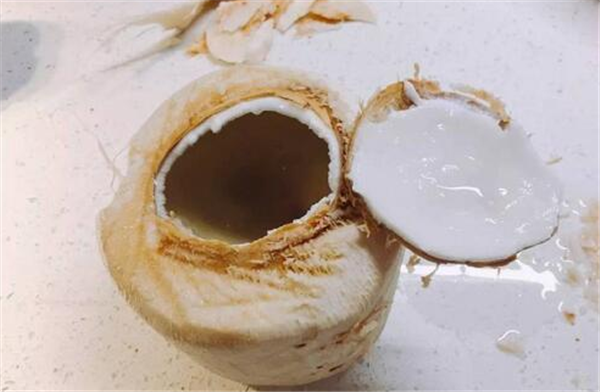 椰子三个孔在哪个位置,椰子三孔有两假一真