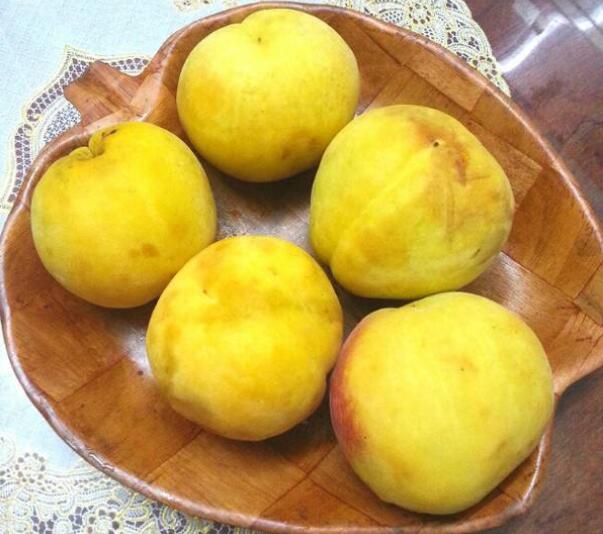 黄桃为什么市面没有,黄桃是易烂水果储存困难