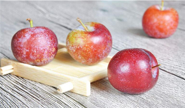 李子几月份成熟,李子的成熟季节(7-8月份)