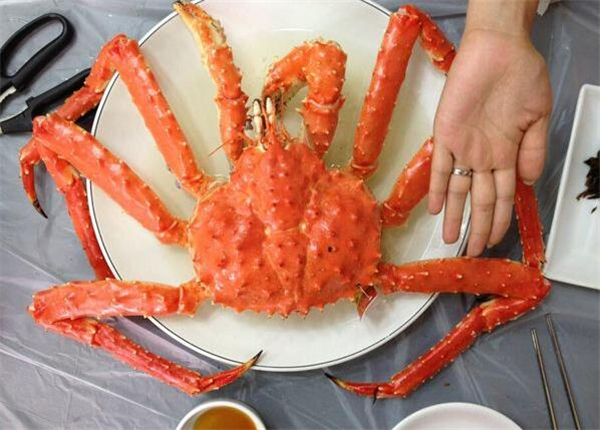 帝王蟹哪些地方不能吃,帝王蟹的内脏统统剔除