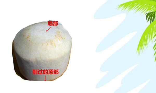 青椰子的三个孔怎么找,青椰子怎么开孔图解步骤