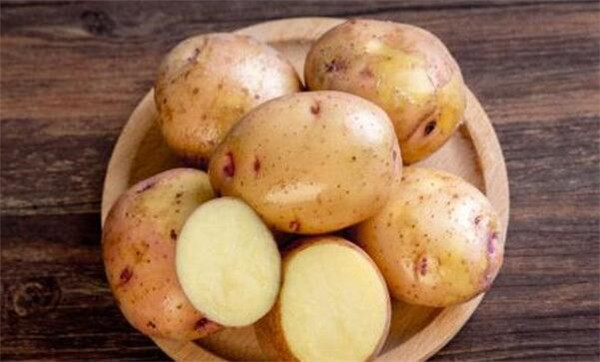 柿子和什么不能一起吃,柿子不能和什么食物一起吃(蟹致胃柿石)