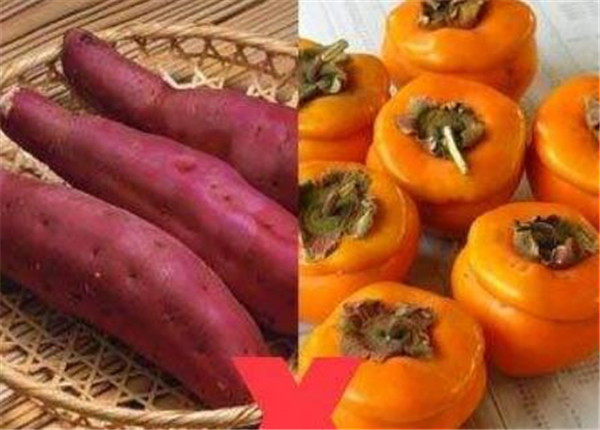 柿子和什么不能一起吃,柿子不能和什么食物一起吃(蟹致胃柿石)