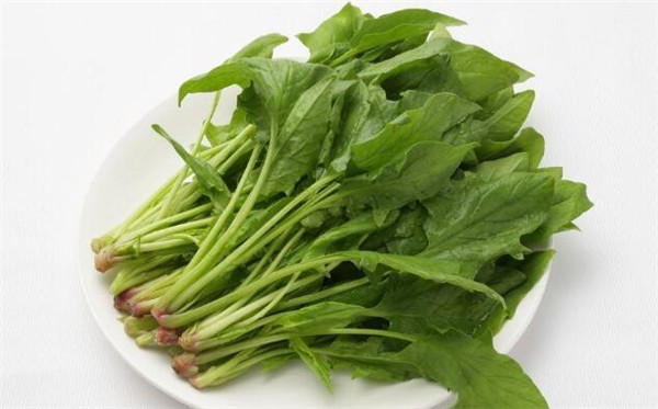 柿子和什么不能一起吃,柿子不能和什么食物一起吃(蟹致胃柿石)