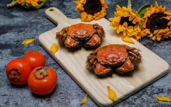 柿子和什么不能一起吃,柿子不能和什么食物一起吃(蟹致胃柿石)