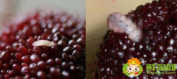 杨梅怎么洗才能洗干净,杨梅需要洗吗
