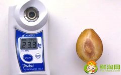 哪个品种的西梅最甜,新疆喀什法兰西西梅糖度能达到22-25%