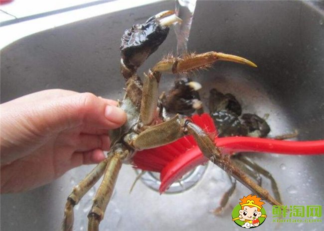 梭子蟹怎么洗最干净,梭子蟹怎么洗干净图解