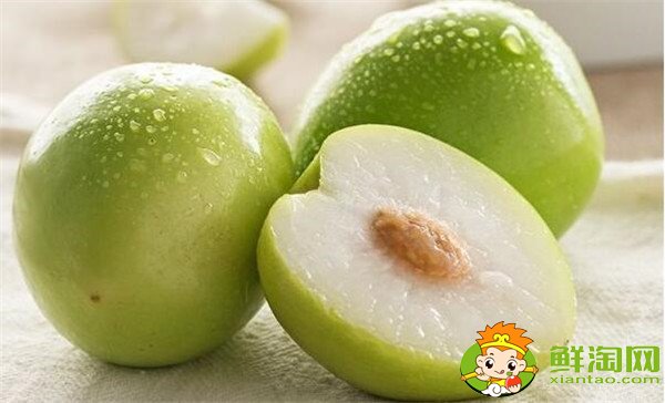 青枣可以减肥吗,牛奶青枣的营养价值