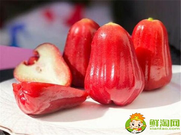 莲雾产地在哪里，莲雾产地有哪些地方