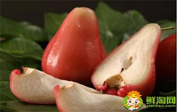 莲雾好吃吗(莲雾什么味道),莲雾怎么吃图解法