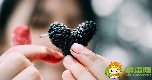 孕妇可以吃桑葚吗(孕妇能吃桑葚十颗最多),吃桑葚有什么好处