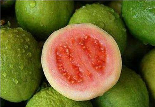 红心番石榴皮可以吃吗,番石榴皮怎么吃