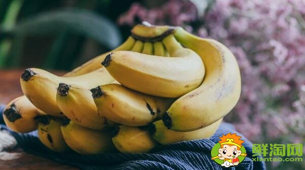催熟香蕉对身体有害吗,催熟香蕉怎么分辨(催熟香蕉和不催熟对比)