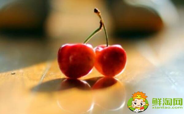 南方樱桃品种哪个好,南方樱桃品种大全图片