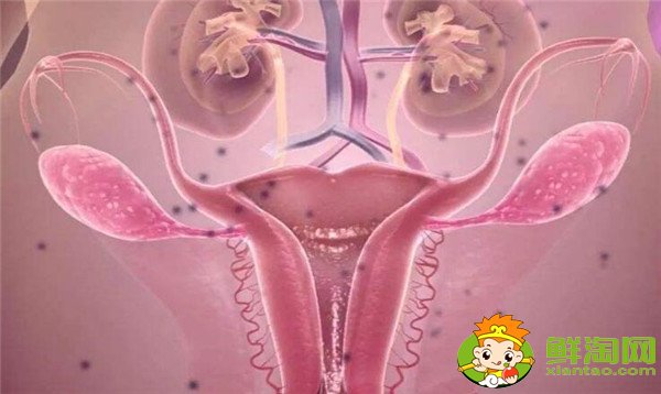 女人月经期能吃苹果吗,女性宫寒月来经期能吃苹果吗