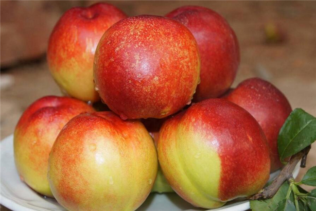 油桃热量高吗(44大卡属4星级减肥食物),油桃热量高还是毛桃