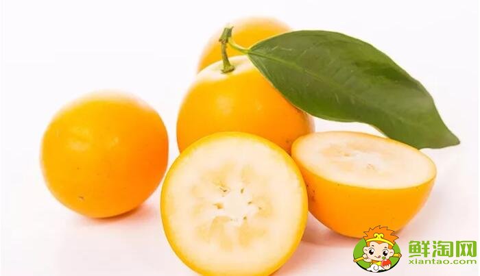 小金桔的功效与作用,金桔泡水喝的功效