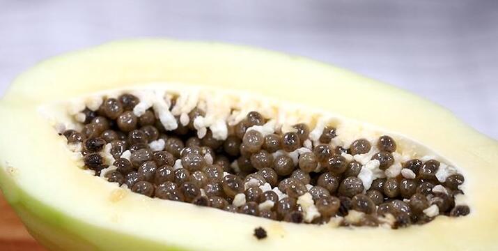 木瓜籽能吃吗(不能直接吃),木瓜籽的食用方法