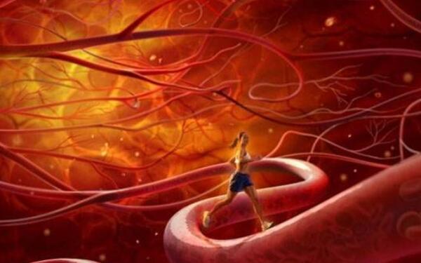 仙人掌果泡水有什么功效,仙人掌果泡水的功效与作用