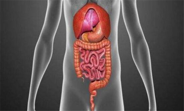 仙人掌果泡水喝有什么作用,仙人掌果泡水喝有什么好处