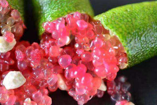 澳洲指橙哪个品种好吃,澳洲指橙吃了会胖吗