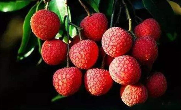 孕妇吃荔枝上火吗,宝宝吃荔枝上火吗