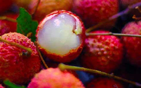 荔枝冷冻能保存多久,荔枝最新保鲜方法