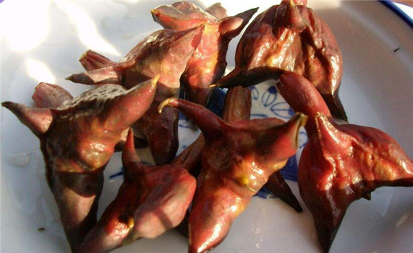 四角菱角怎么剥壳,野生菱角怎么剥壳