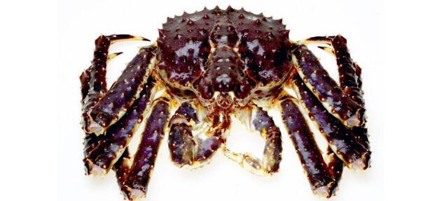 帝王蟹和皇帝蟹一样吗,帝王蟹和皇帝蟹的区别