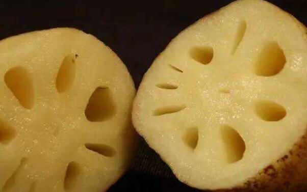 南沙莲藕那里买好,南沙莲藕基地在哪里